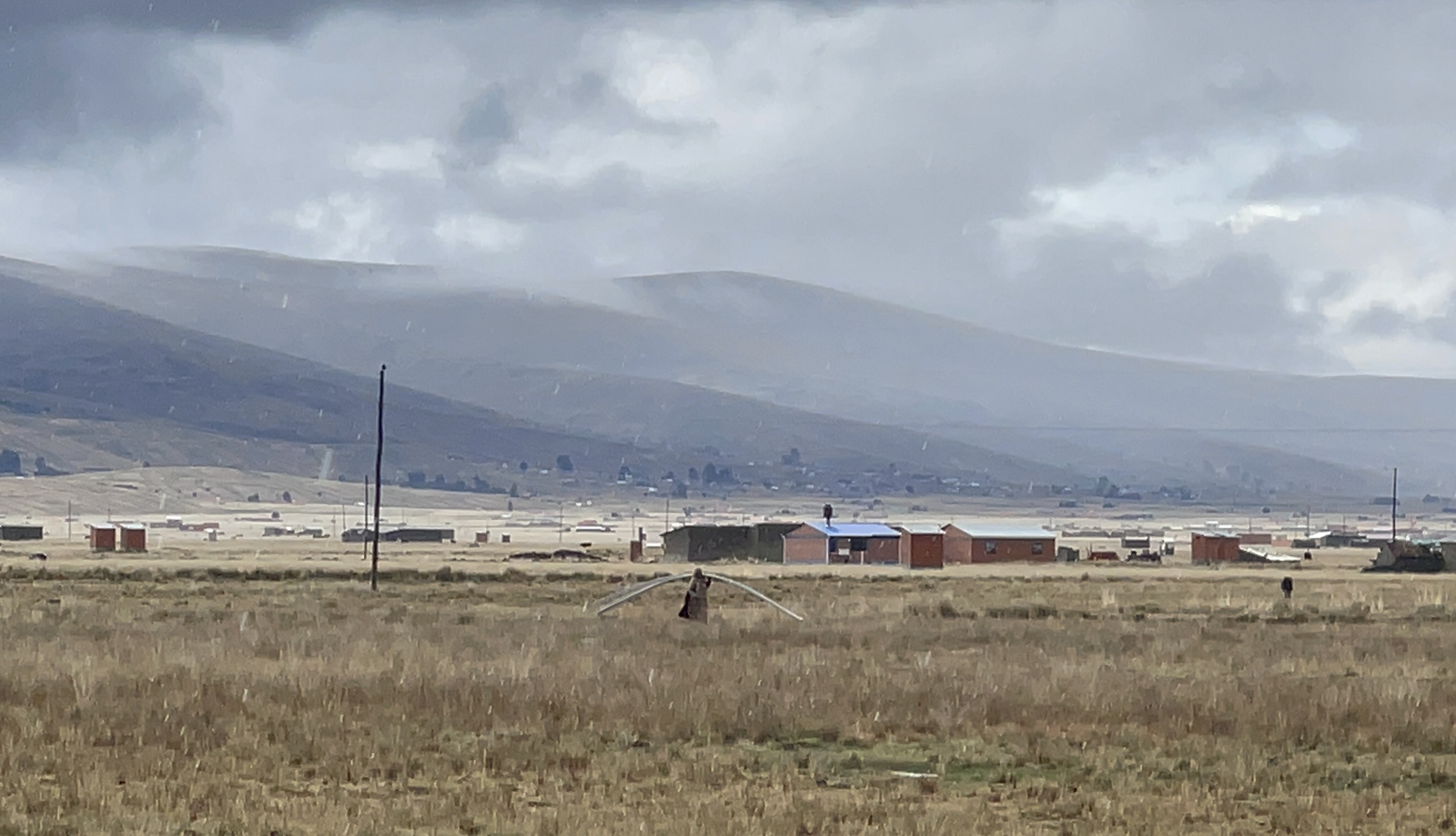 The Last of us
